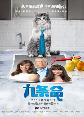 龙月泰剧电视剧全集免费观看